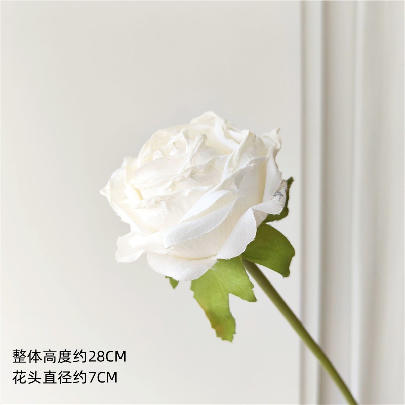 흰색 마른 구운 작은 장미