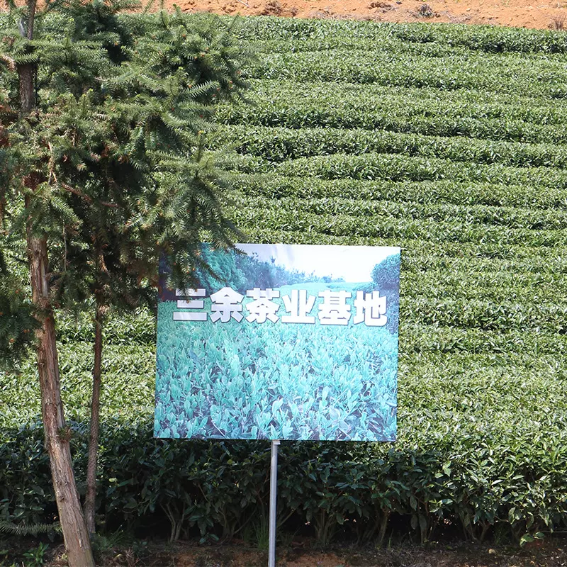 三余福鼎白茶2025年白毫银针白牡丹贡眉寿眉批发福建白茶源头厂家