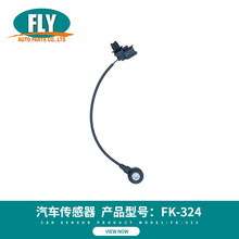 FLY���R��܇������FK-324 �m���˹�����Ď�������������