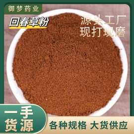 回春草粉中药材批发云南回春草不老草起阳草粉男性泡酒煲汤滋补