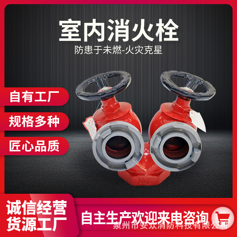 Factory direct supply double valve double outlet fire hydrant double headed fire hydrant double valve indoor hydrant/SNSS65