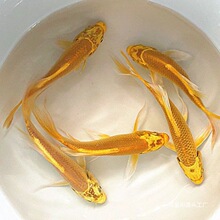 �~�\���~���P�\�����~����~���B�ͻ��\�a��ˮ�^�p�~���l����