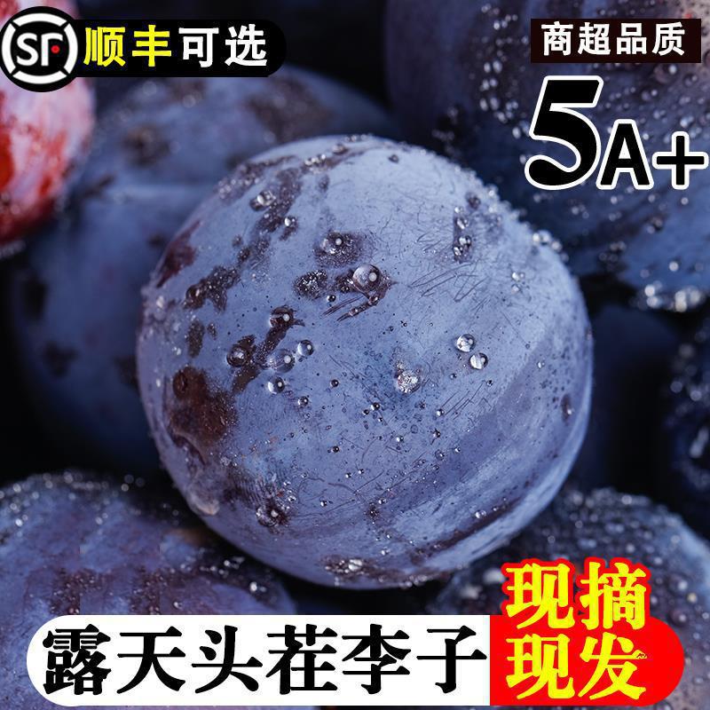 Fresh picked black plum plum 10 jin fresh crispy plum three flower pit-free stem mother蜂糖 fruit seasonal box free shipping