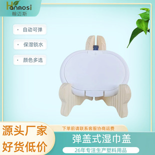 Pop-Up Lid Type, Multiple Colors Available, Factory Direct Supply, Baby Wipes Packaging Lid, Water-Locking and Moisturizing Plastic Wipes Lid