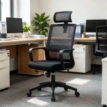 ZSBW005A ��ɫ�W�����w���W�k���Σ�͸�⿿���^�� �������D�L݆