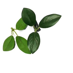 Imitation Leaves Rich Leaves Money Banyan Crafts Decorated Glue Leaves Cake Decorated Fruit Small Leaves Collocation