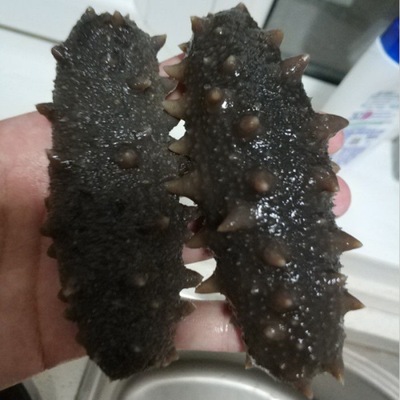 precooked and ready to be eaten sea cucumber Dalian dried food Dried sea cucumber Dalian sea cucumber Japonicus Fresh wholesale On behalf of