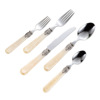 Tableware stainless steel, set, high-end spoon, acrylic retro handle, gift box