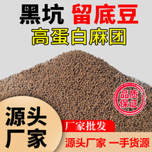 ���R�d�ڿ����׶������~���~�a�~մ��F�T�~���~���~�D�C����ճ��