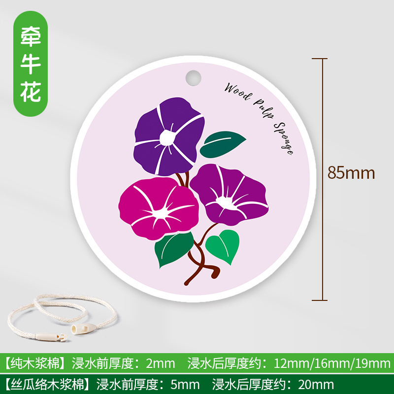 나팔꽃 특허모델