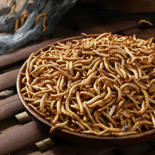 ��������x���l���������ʳ�S���x�}������B���Zʳ�������Z