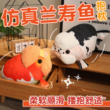 �����m���~�����ɐۙѻ���Ƥ���^�~ë�q��߹��л���b����޶Y��