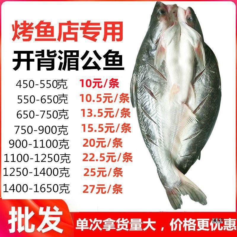 开背巴沙鱼整条湄公鱼纸包鱼烤鱼半成品凌波鱼腌制鱼商用一整箱