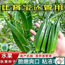 �G����N�ӷN���� �S����ļ��߲� ���������̨�������R�в����
