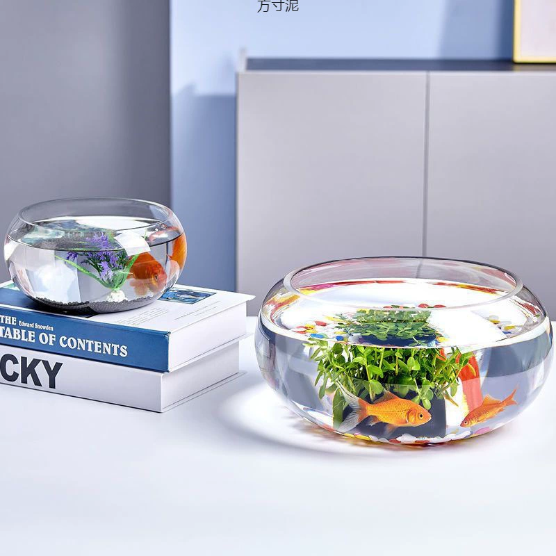 Прозрачный стеклянный аквариум для офиса
