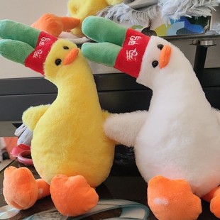 һ��С�[�����Z�S�Z�ɐ�ë�q�¿���ϵ��Ů������ż������ʽ2ֻ