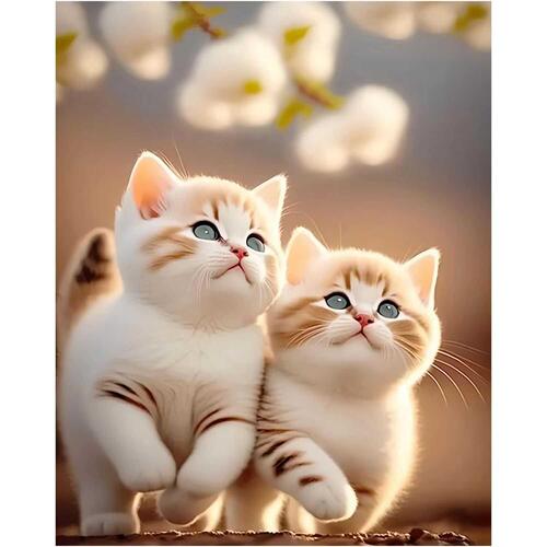 Healing System Cute Kitten Self-adhesive Sticker for Children's Room Wall, Bedroom Doors and Windows Car Body Decoration Cartoon Sticker