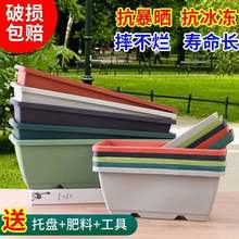 花盆长方形种菜霍伦盆专用盆阳台加厚加大种植箱塑料花盆清仓批发