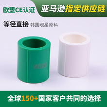 ppr水管等径直接4分6分1寸热熔管ppr配件等径直接头批发给水管