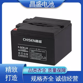 昌盛 LC-P1224 eps应急电源 免维护蓄电池 通信基站 现货充足