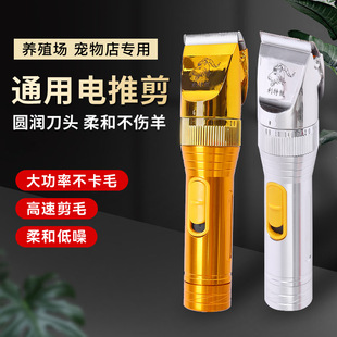 ͨ����Ƽ� �S�����l&middot;��ë��Ƽ�����ë؈��������ë��