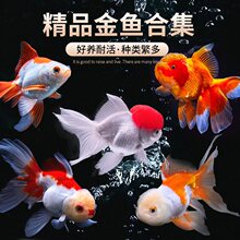 ���~���~���Ӝ���ˮ�~�^�p�~��ˮ�~���w�ݽ��~��С���~���B�����~