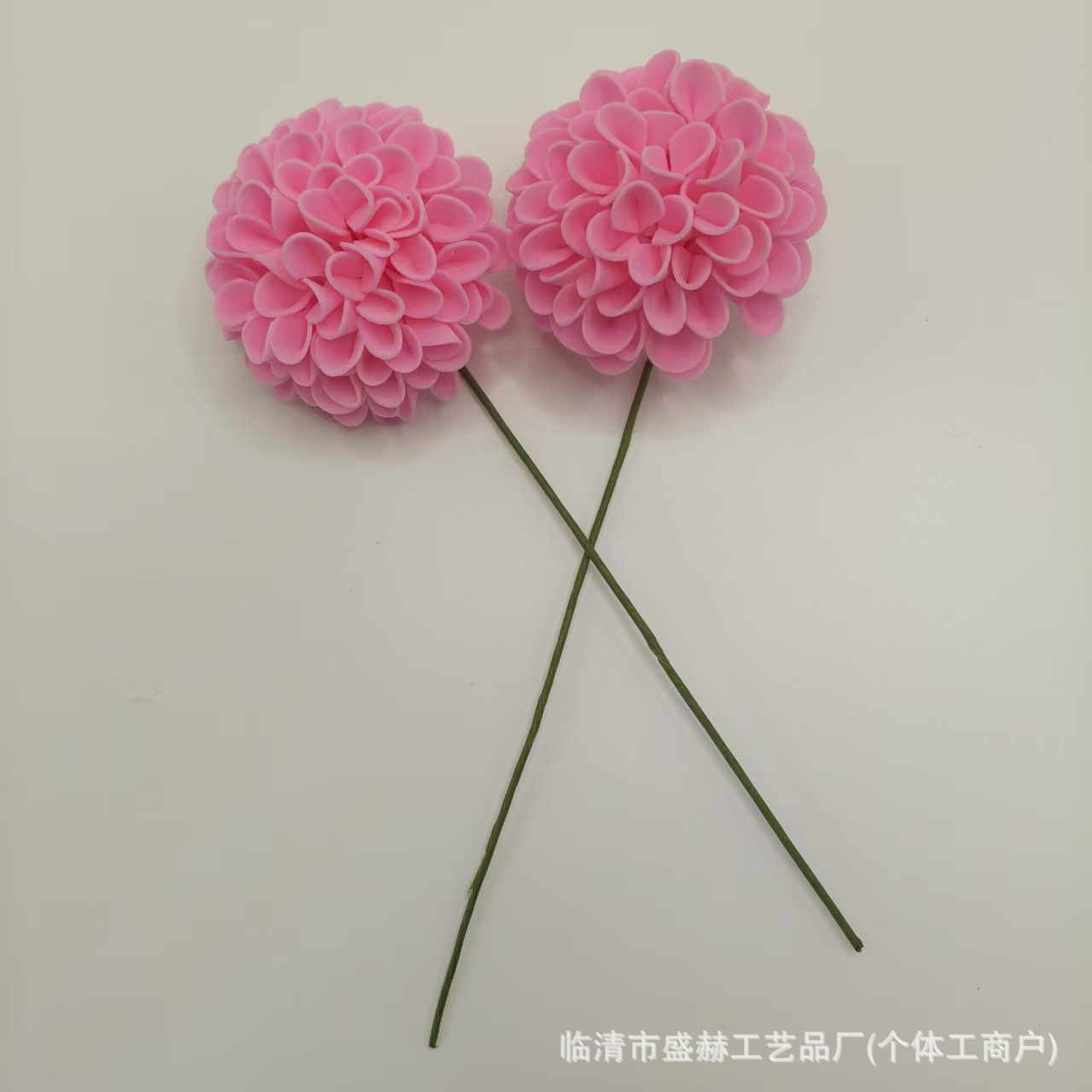 微信图片_20250528114721_113