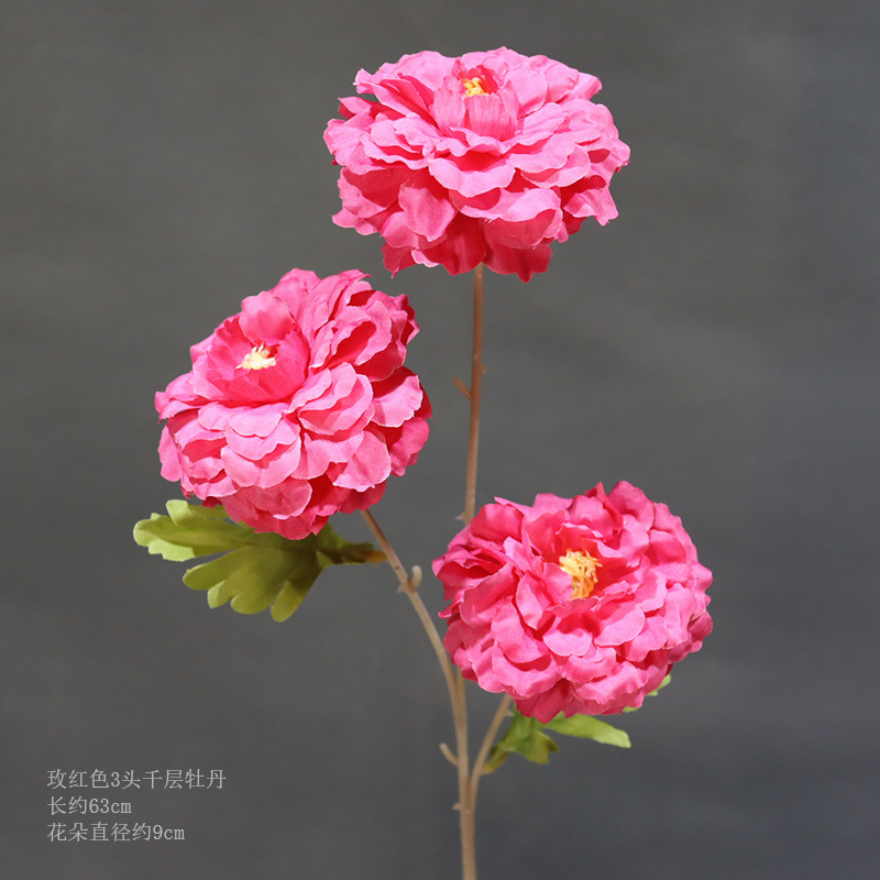 Rosa Roja 3-cabeza Melaleuca Peony