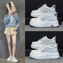 2025ļ¿ƤϵW͸\eװЬ2501-3