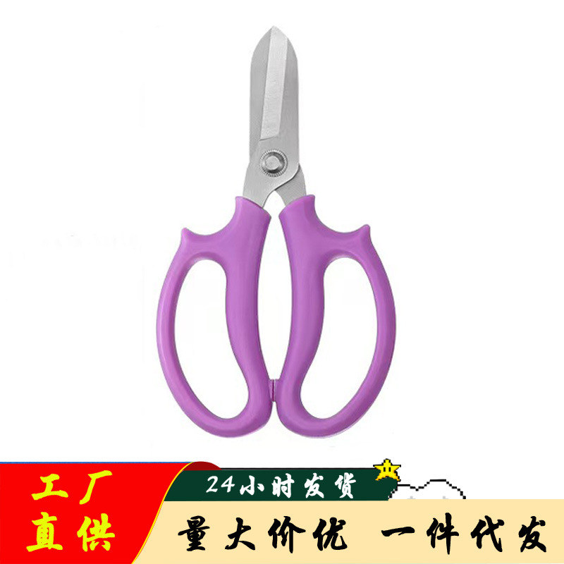 农用加厚修花剪不锈钢园艺修枝剪花店花艺剪果园树枝修枝工具