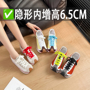 �[�΃�����6.5cm~2026�¿�Ů����@�ٴ�հ��_���A��Ьײɫ�͹�
