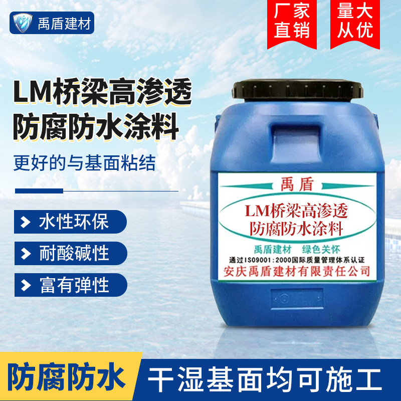 LM桥梁高渗透防腐防水涂料 发电厂食品工业生物工程地铁水工构筑
