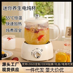ミニ養生カップ多機能養生ポット電気煮カップオフィス湯たんぽ家庭用小型ティーポットプレゼント