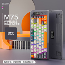 ������M75�o���{���pģ�Cе�ָ��I�P�Α�늸��k���o��PBT��ñ�I��