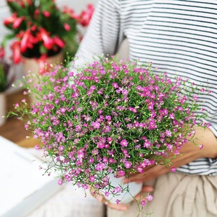 ����ِ�M���ǻ��@����鼆�M�����r�����Ԏ��������Ԏ����̨����