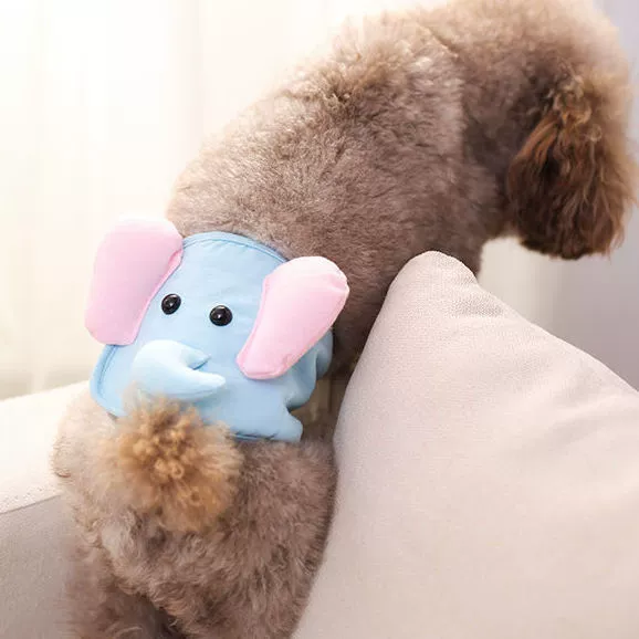 Физиологические штаны для собак Физиологические штаны для домашних животных с защитой от зачистки Вежливые и моющиеся физиологические штаны для собак в период безопасности Мужская собака