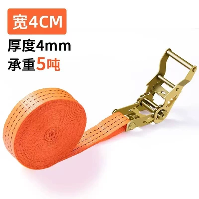 Trailer rope/net/strap, Tightener 5t Double Hook Truck - 2m-polyester-4cm-hookless-style