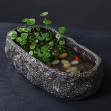 ڏoˮɻմ˯ɏɏش̖ˮ໨B~~׻