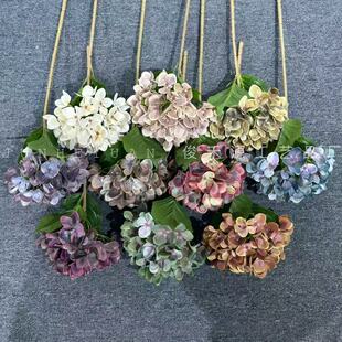 ��֧54Ƭ���⽑�����֧С����羳���N�ٻ��҃Ȕ[���������滨