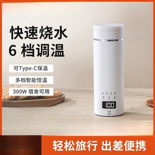 110V Portable Electric Water Cup Burning Water Cup Heating Cup Small Portable Travel Dormitory Thermos Cross Border