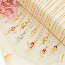 ������õ�廨���|�p���A������ﶬ���u�߼��аٴ��ɫ��