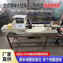 绕线机WDTCH-01双伺服精密绕线机自动绕线机定制精密排线绕线设备