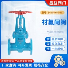 �r��Z41F46-16Cȫ�r���T��͸��g�l�yDN50 80 100 150 200