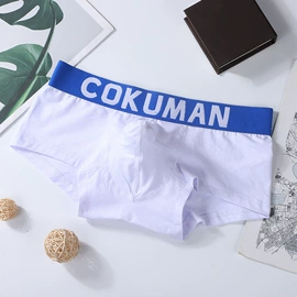 男士平角裤;男士三角裤;男士阿罗裤