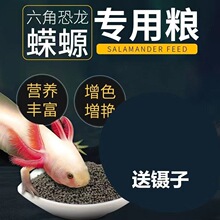 蝾螈六角恐龙鱼饲料六角龙高蛋白方下沉底型鱼食粮饲料宠物批