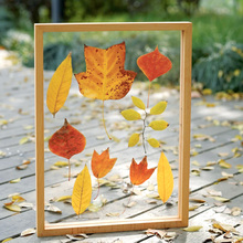 ?�ɻ����͸���p�惦��չʾ�׃��@diy�ֹ�ֲ��˱��������w�[̨