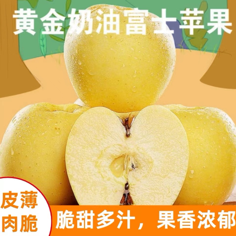 Authentic Yantai Cream Fuji Apples, Fresh Fruit, Crisp, Sweet, and Juicy, Seasonal Ugly Apples, Whole Box Wholesale, Free Shipping