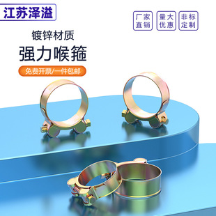 Ordinary Clamp Heavy-Duty Strong Hose Clamp Pipe Clamp Water Pipe Hoop Sl49 Pipe Clamp Cast Iron Pipe Bundle High Temperature Resistant Heavy-Duty