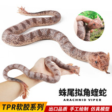 �羳������ģ�����Є���TPR���Ĵ�̖ܛ�z��β�M���������R������