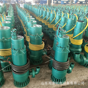 ���bʽ��ˮ��BQS250KW ��P�̴����� �V�ø���������ɳ��ˮ��